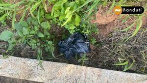 Crónica / Arma utilizada para asesinar a la joven en Lambaré habría sido encontrada