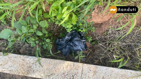 Crónica / Arma utilizada para asesinar a la joven en Lambaré habría sido encontrada