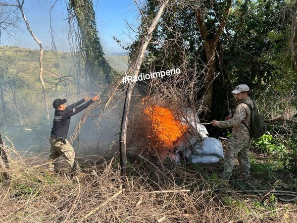 Senad destruye más de 5 mil kilos de marihuana picada en la colonia Santa Clara - Radio Imperio