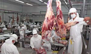 Paraguay exportó cerca de 165.000 toneladas de carne bovina en primer semestre del 2022 – Diario TNPRESS