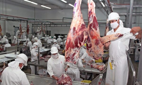Paraguay exportó cerca de 165.000 toneladas de carne bovina en primer semestre del 2022 – Diario TNPRESS