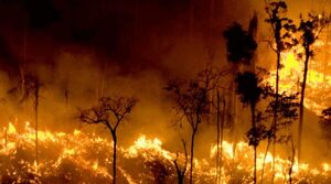 La Amazonía brasileña registró en junio la mayor cifra de incendios de los últimos 15 años - Megacadena — Últimas Noticias de Paraguay