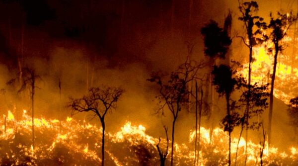 La Amazonía brasileña registró en junio la mayor cifra de incendios de los últimos 15 años - Megacadena — Últimas Noticias de Paraguay