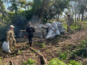 Senad destruyó 5.400 kilos de marihuana