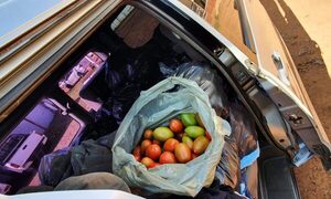 Incautan tomate de contrabando en el barrio San Ramón de Hernandarias – Diario TNPRESS