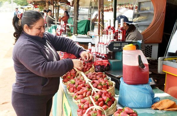 Areguá: Invitan a la Expo Frutilla el 15 de julio - Contacto Ciudadano - ABC Color