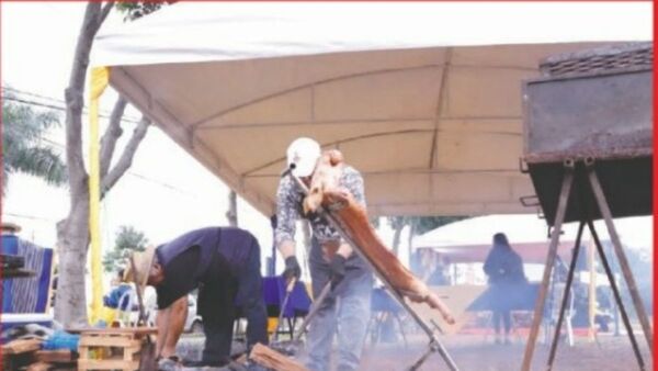 Premiarán al chancho más váiro en el Kuré Luque Ára