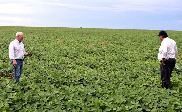 Censo Agropecuario 2022 será presentado en la Expo