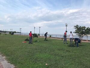 Estudiantes comprometidos con la sociedad hermosean áreas verdes de Encarnación