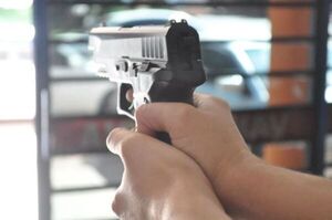 Falsos policías simulan allanamiento y roban armas de colección