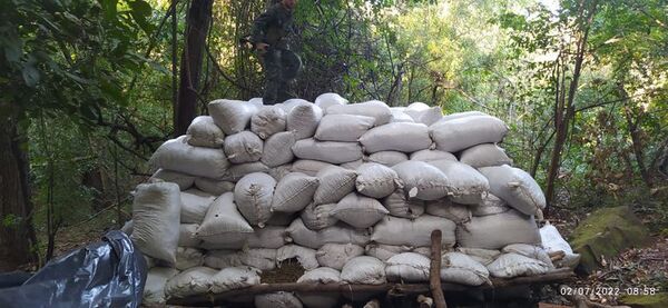 Incautan más de 55 toneladas de marihuana en Amambay - Nacionales - ABC Color