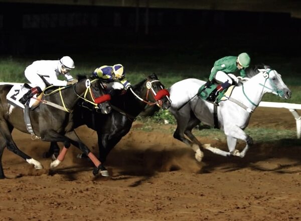 Turf: Una particular y 6 oficiales en el hipódromo de Asunción - Polideportivo - ABC Color