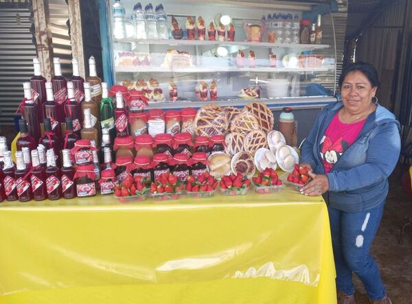 Comienza la cosecha tempranera de la roja y carnosa frutilla - Nacionales - ABC Color