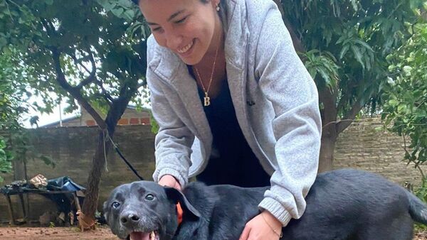 Asociación pide ayuda para pagar deudas por rescate de animales
