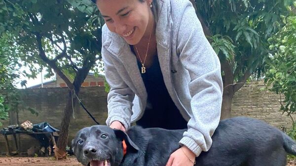 Asociación pide ayuda para pagar deudas por rescate de animales 