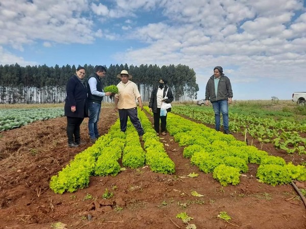 Realizan visita técnica a la comunidad El Triunfo ante aparición de babosas - Noticde.com