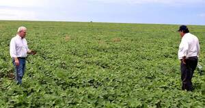 La Nación / Tras 14 años, realizarán censo agropecuario que actualizará datos sobre la estructura del sector