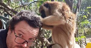 La Nación / Un centro que cobija a animales rescatados