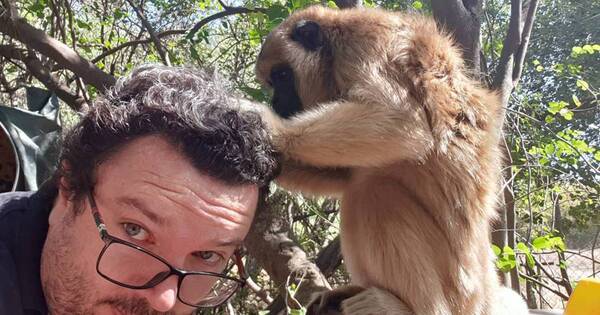 La Nación / Un centro que cobija a animales rescatados