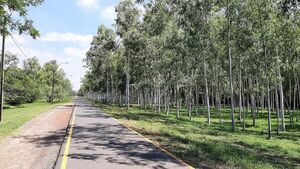 Meteorología prevé un lunes con clima caluroso en todo el país