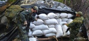 Incautación récord de Marihuana en 55,5 toneladas de Marihuana incautadas en Amambay