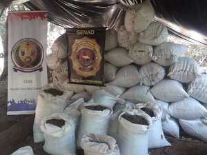 Diario HOY | Reportan destrucción de 37 toneladas de droga en Amambay