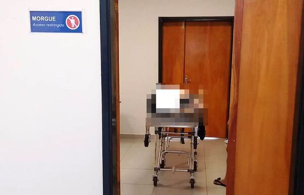 Murió tras recibir una fuerte descarga eléctrica mientras podaba un árbol - ABC en el Este - ABC Color