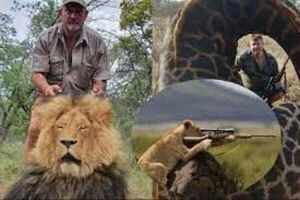 Un cazador de leones, jirafas y elefantes en busca de trofeos fue asesinado a tiros en Sudáfrica