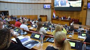 Senado formará Comisión Especial por conflicto de tierras en Itakyry