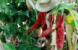 Los ingresos por exportación de café hondureño suben un 35 % en la cosecha 2021-2022 - MarketData