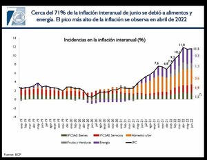Combustibles y alimentos con el mayor peso en la inflación   - Economía - ABC Color