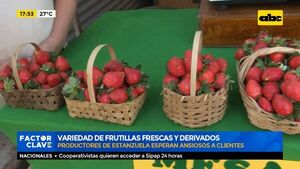 Artesanos de Areguá prevén repuntar ventas - Factor Clave - ABC Color