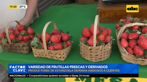 Artesanos de Areguá prevén repuntar ventas - Factor Clave - ABC Color