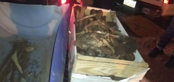 Encuentran huesos humanos en una estancia