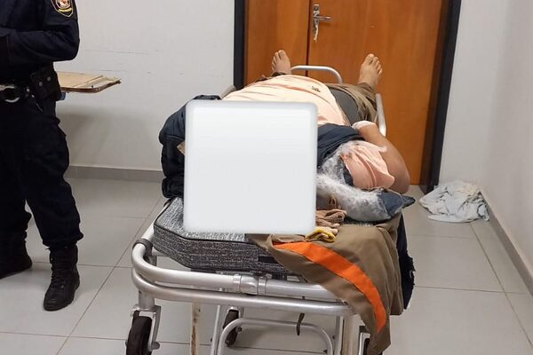 Trabajador muere electrocutado cuando podaba un árbol – Diario TNPRESS