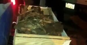 Policía reportó el hallazgo de restos óseos en la colonia Estrella - Radio Imperio