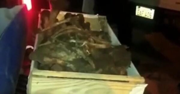 Policía reportó el hallazgo de restos óseos en la colonia Estrella - Radio Imperio