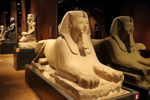 El Museo Británico dedicará una muestra al descifrado de jeroglíficos | Cultura y Espectáculos | 5Días
