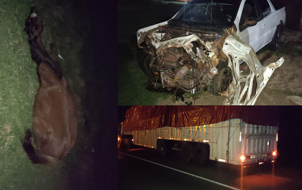 Intentó esquivar un caballo muerto y terminó chocando por una scania en Coronel Oviedo – Prensa 5