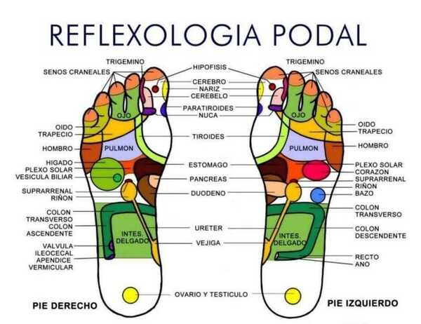 LOS MÉDICOS NO QUIEREN QUE SEPAS ESTAS OPCIONES NATURALES PARA LA SALUD - La Voz del Norte