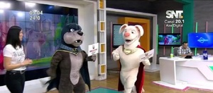 Las SúperMascotas en La Mañana de Cada Día - SNT