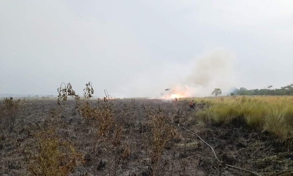 Incendio forestal en Guarambaré - C9N