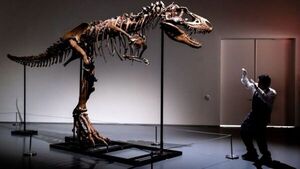 Esqueleto de dinosaurio de 76 millones de años será subastado en Nueva York | Internacionales | 5Días