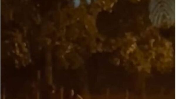 Graban a una mamá pegando a su hijo