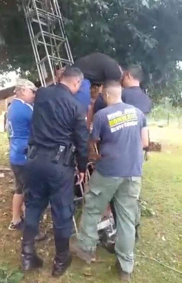 Free Fire: niño amenazó con tirarse de un árbol porque su mamá le quitó el celular - Nacionales - ABC Color