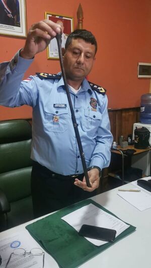 Vecinos atrapan a adolescente que supuestamente intentó robar en una casa de Fernando - Policiales - ABC Color