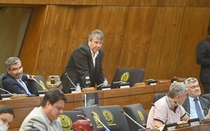 Ley de escáneres para todos los puertos vuelve a comisión de Diputados - Política - ABC Color