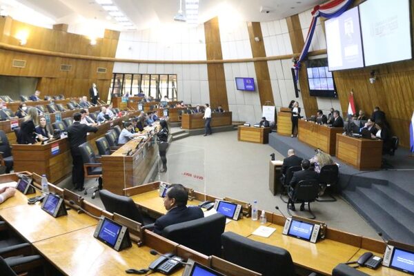 Despenalización de declaraciones juradas: Diputados aceptó veto parcial del Ejecutivo