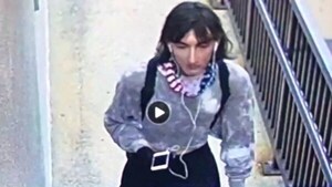 Un militante de Antifa mató a 6 personas en los festejos del 4 de Julio en Illinois