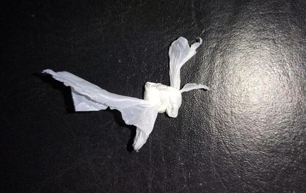 Hallan cocaína en penitenciaría de mujeres de Coronel Oviedo – Prensa 5